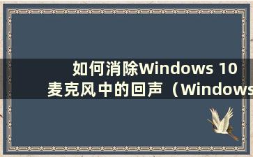 如何消除Windows 10 麦克风中的回声（Windows 10 麦克风回声）